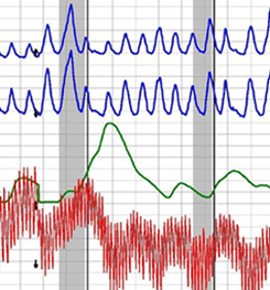 Santo Domingo polygraph examination